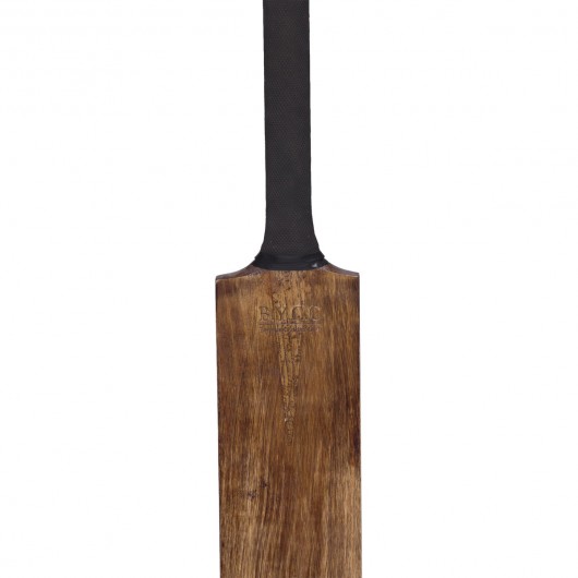 Backyard Cricket Set Bat Front Close